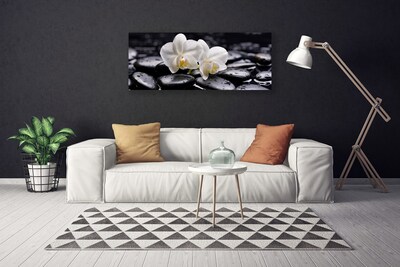 Canvas Wall art Flower stones art white black
