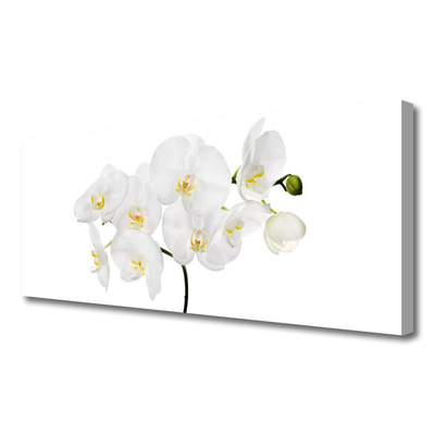 Canvas Wall art Flowers floral white