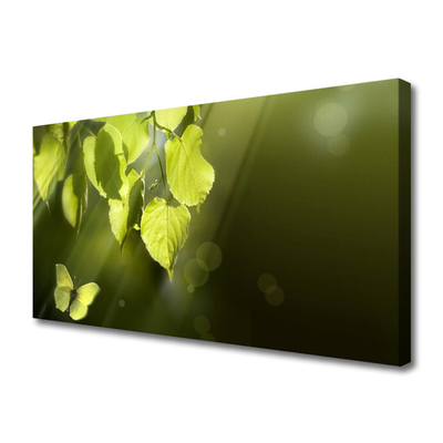 Canvas Wall art Butterfly leaves nature green