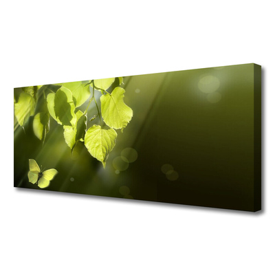 Canvas Wall art Butterfly leaves nature green