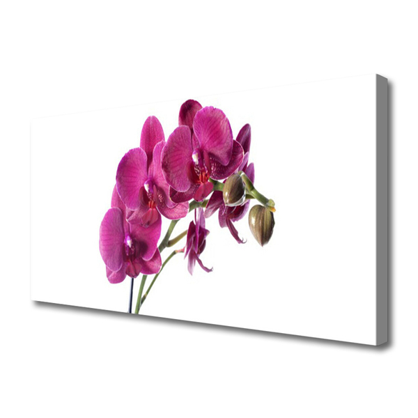 Canvas Wall art Flowers floral red
