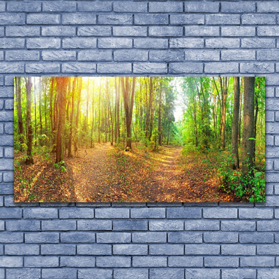 Canvas Wall art Forest nature brown green