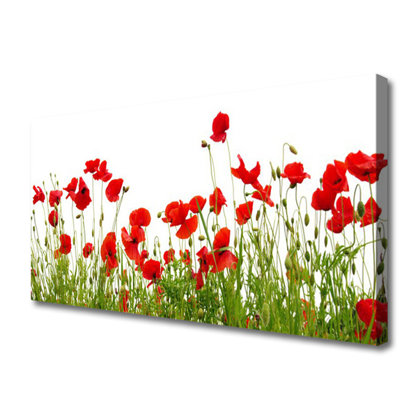 Canvas Wall art Meadow poppies nature green red