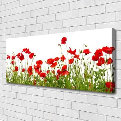 Canvas Wall art Meadow poppies nature green red