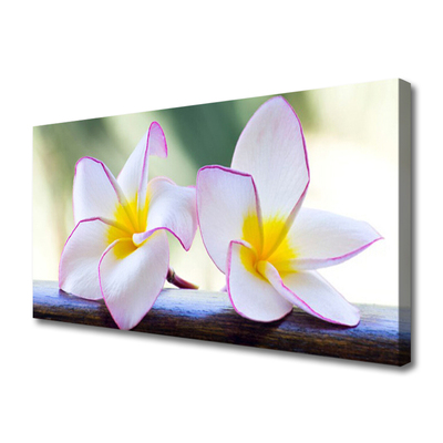 Canvas Wall art Flowers floral green pink