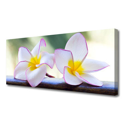 Canvas Wall art Flowers floral green pink