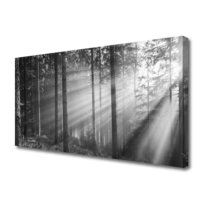 Canvas Wall art Forest nature grey