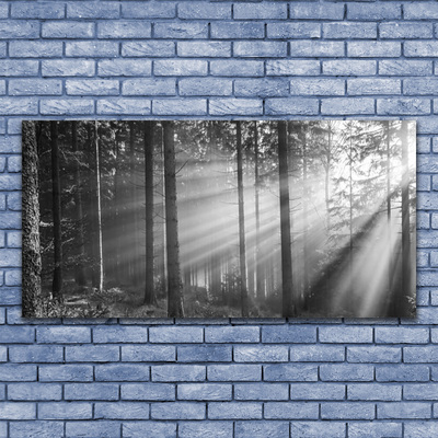 Canvas Wall art Forest nature grey