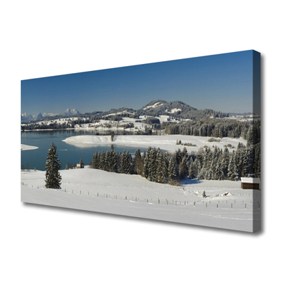 Canvas Wall art Snow lake forest landscape blue white green