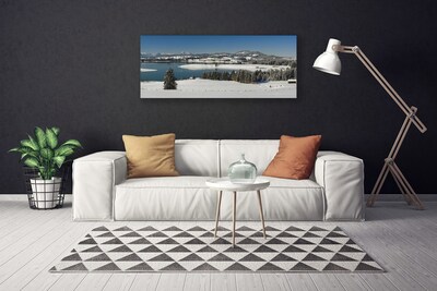 Canvas Wall art Snow lake forest landscape blue white green