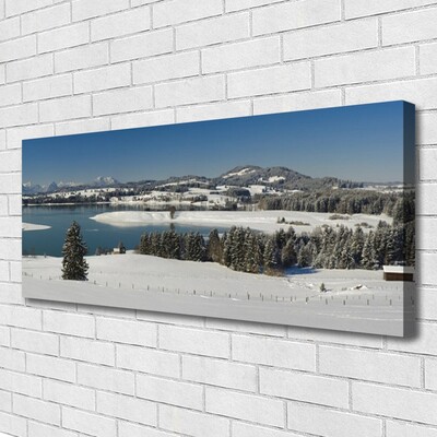 Canvas Wall art Snow lake forest landscape blue white green