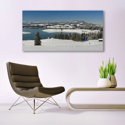 Canvas Wall art Snow lake forest landscape blue white green