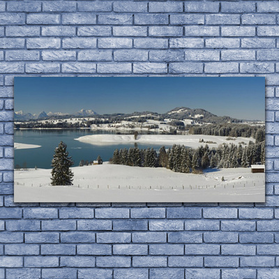 Canvas Wall art Snow lake forest landscape blue white green