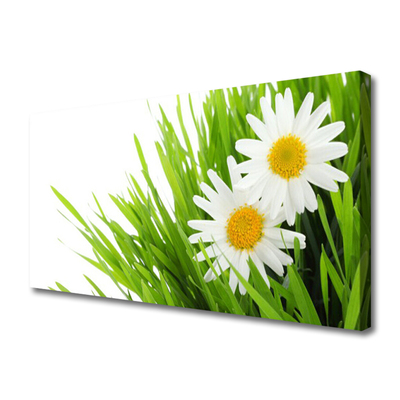 Canvas Wall art Grass daisies floral green yellow white