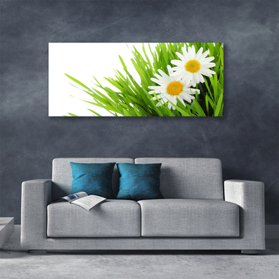 Canvas Wall art Grass daisies floral green yellow white