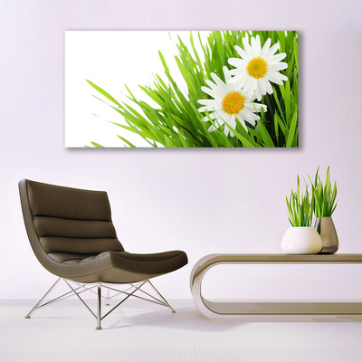 Canvas Wall art Grass daisies floral green yellow white