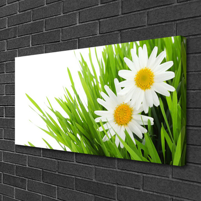 Canvas Wall art Grass daisies floral green yellow white