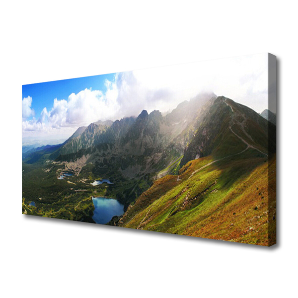 Canvas Wall art Mountain meadow landscape grey green