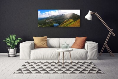 Canvas Wall art Mountain meadow landscape grey green