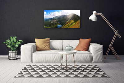 Canvas Wall art Mountain meadow landscape grey green