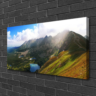 Canvas Wall art Mountain meadow landscape grey green