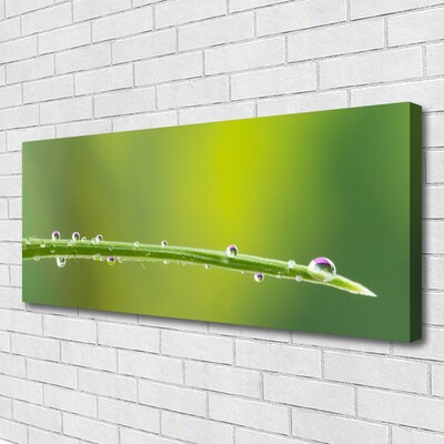 Canvas Wall art Grass dew drops floral green