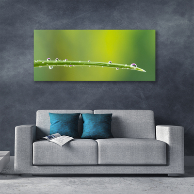 Canvas Wall art Grass dew drops floral green