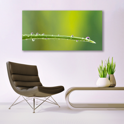 Canvas Wall art Grass dew drops floral green