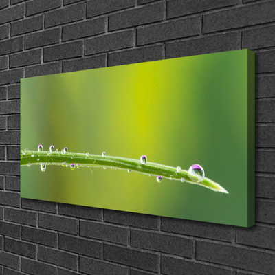 Canvas Wall art Grass dew drops floral green