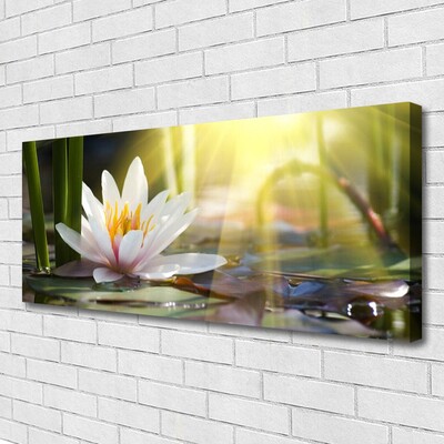 Canvas Wall art Flowers water floral white green