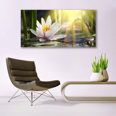 Canvas Wall art Flowers water floral white green