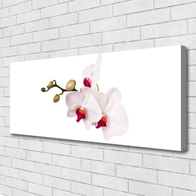 Canvas Wall art Flowers floral pink white