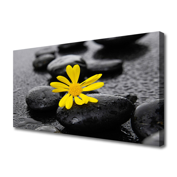 Canvas Wall art Flower stones art yellow black
