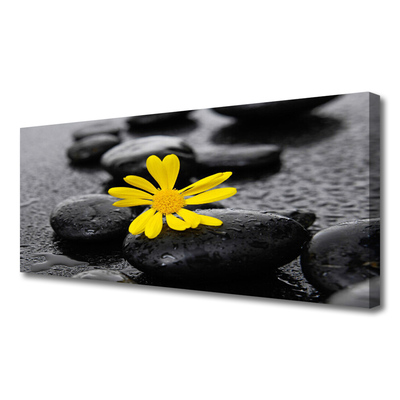 Canvas Wall art Flower stones art yellow black