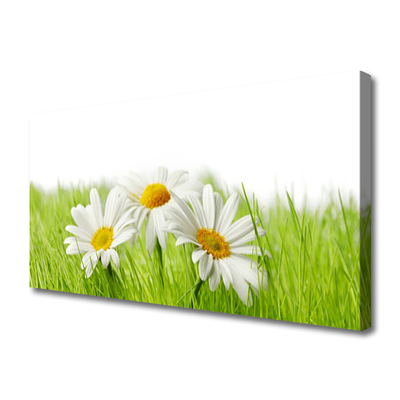 Canvas Wall art Grass daisies floral white green