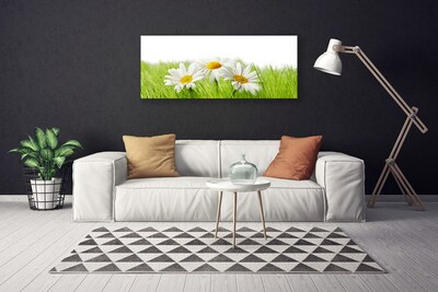 Canvas Wall art Grass daisies floral white green