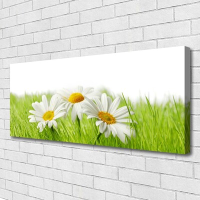 Canvas Wall art Grass daisies floral white green