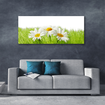 Canvas Wall art Grass daisies floral white green