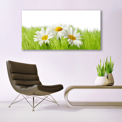 Canvas Wall art Grass daisies floral white green