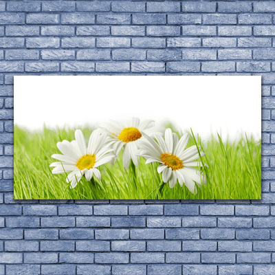 Canvas Wall art Grass daisies floral white green