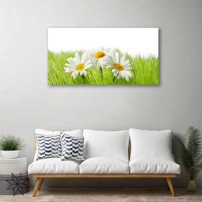 Canvas Wall art Grass daisies floral white green