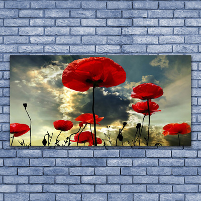 Canvas Wall art Poppies floral red