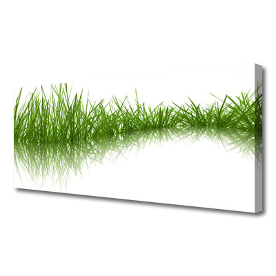 Canvas Wall art Grass nature green