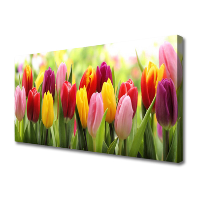 Canvas Wall art Tulips floral pink red yellow