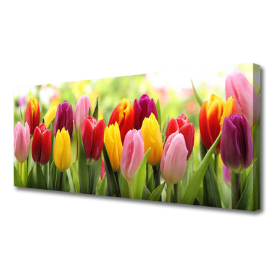 Canvas Wall art Tulips floral pink red yellow