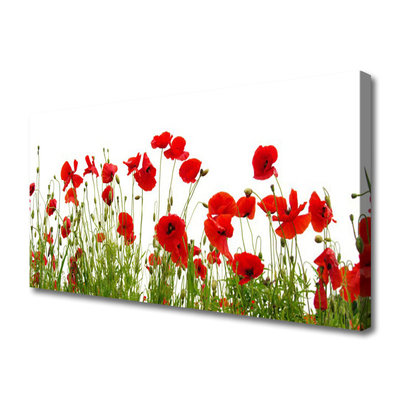 Canvas Wall art Poppies floral red green