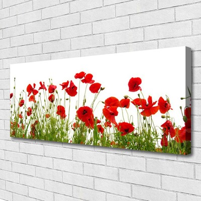 Canvas Wall art Poppies floral red green