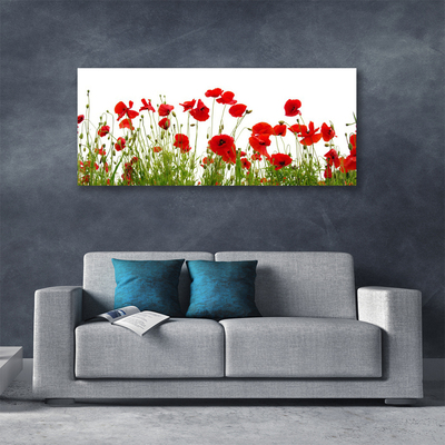 Canvas Wall art Poppies floral red green