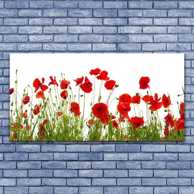 Canvas Wall art Poppies floral red green