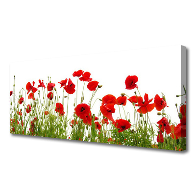 Canvas Wall art Poppies floral red green